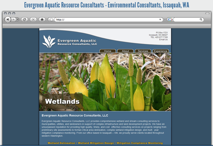 Evergreen Aquatic