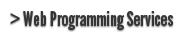 web programming services